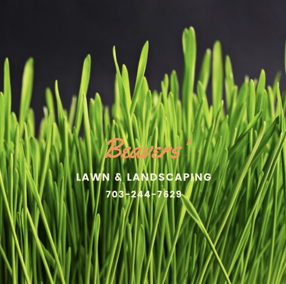 Beavers’ Lawn & Landscaping